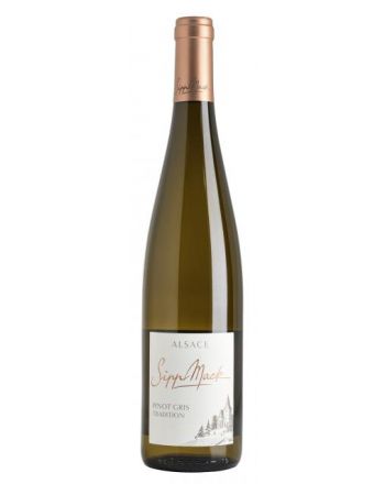 Pinot Gris Tradition 2019 - Sipp-Mack