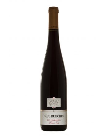Pinot Noir Les Terrasses 2015 - Paul Buecher