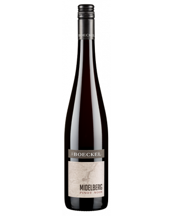 Pinot Noir Midelberg 2021 - Emile Boeckel