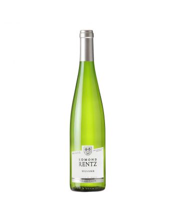 Sylvaner Vieilles Vignes 2020 - Edmond Rentz