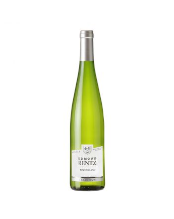 Pinot Blanc 2020 - Edmond Rentz