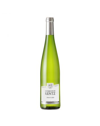 Pinot Gris 2021 - Edmond Rentz